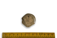 F 12987
<br/>
<br/>
<em></em>